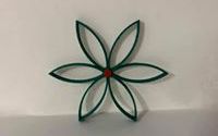 Fleur de noël