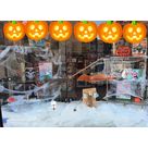 Vitrine Halloween citrouille